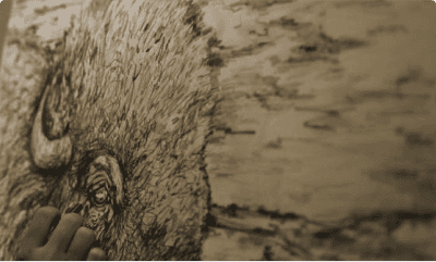 Image alt text